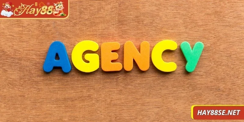 dai-ly-hay88-cac-buoc-dang-ky